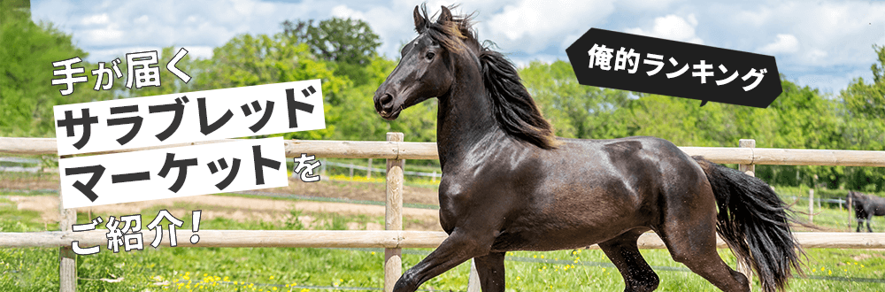 手が届くサラブレッドマーケットを紹介。俺的ランキング